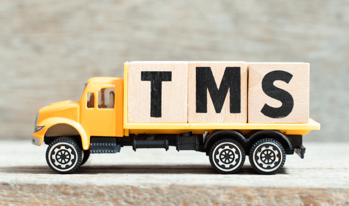 business needs tms